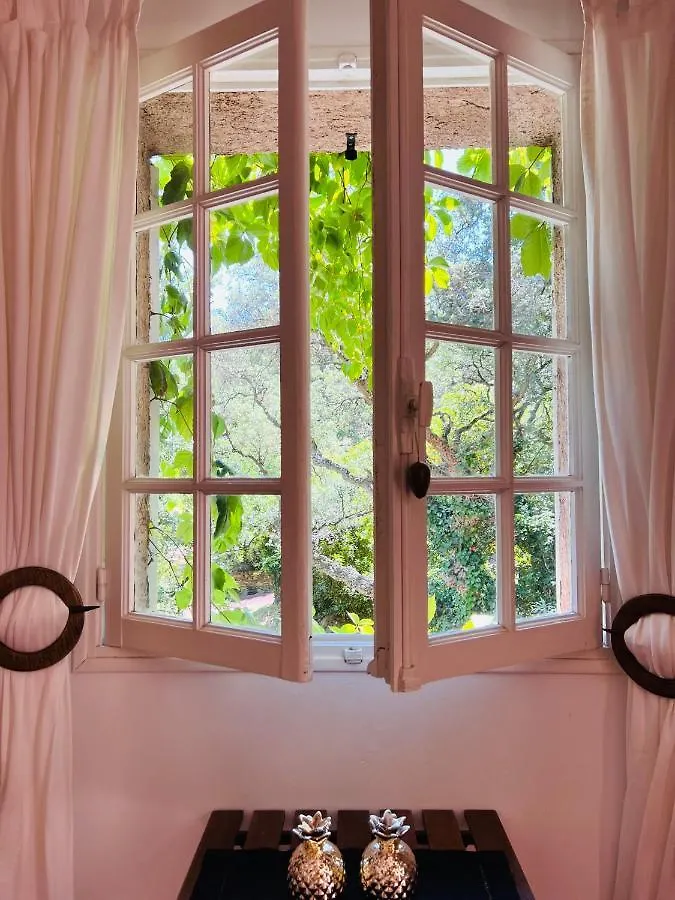 B&B Maison Gigi La Garde-Freinet