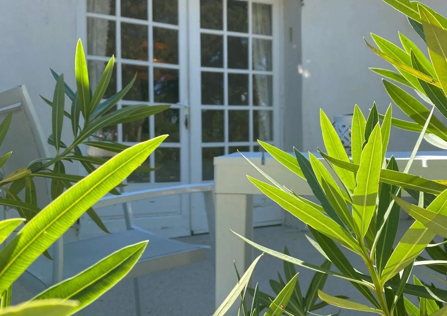 B&B Maison Gigi La Garde-Freinet Bed & Breakfast